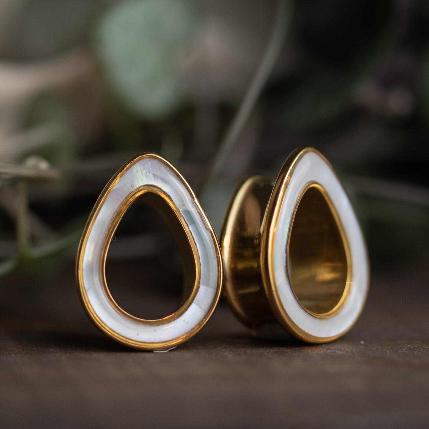 Golden Shell Tunnels