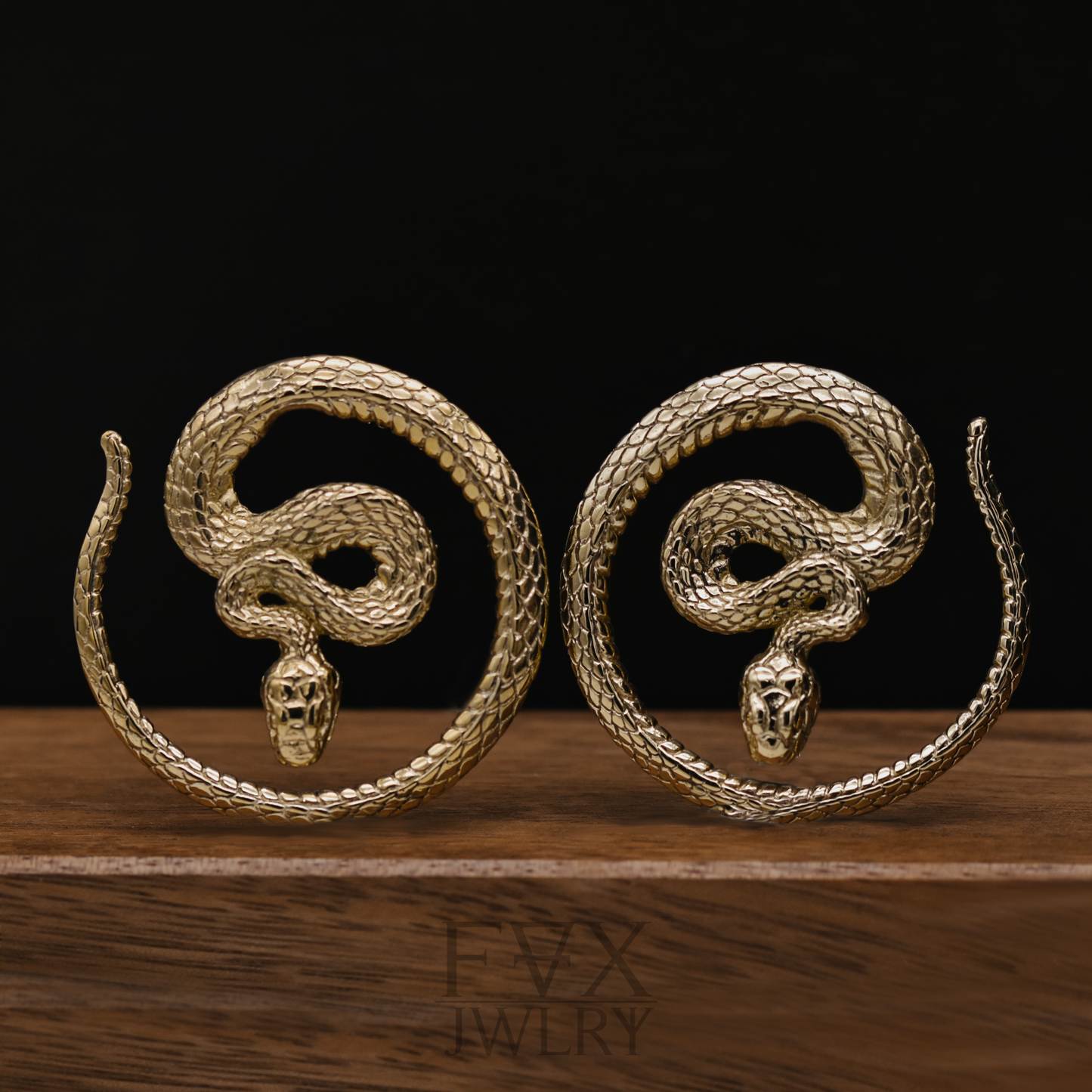 Golden Snake Circle Hangers