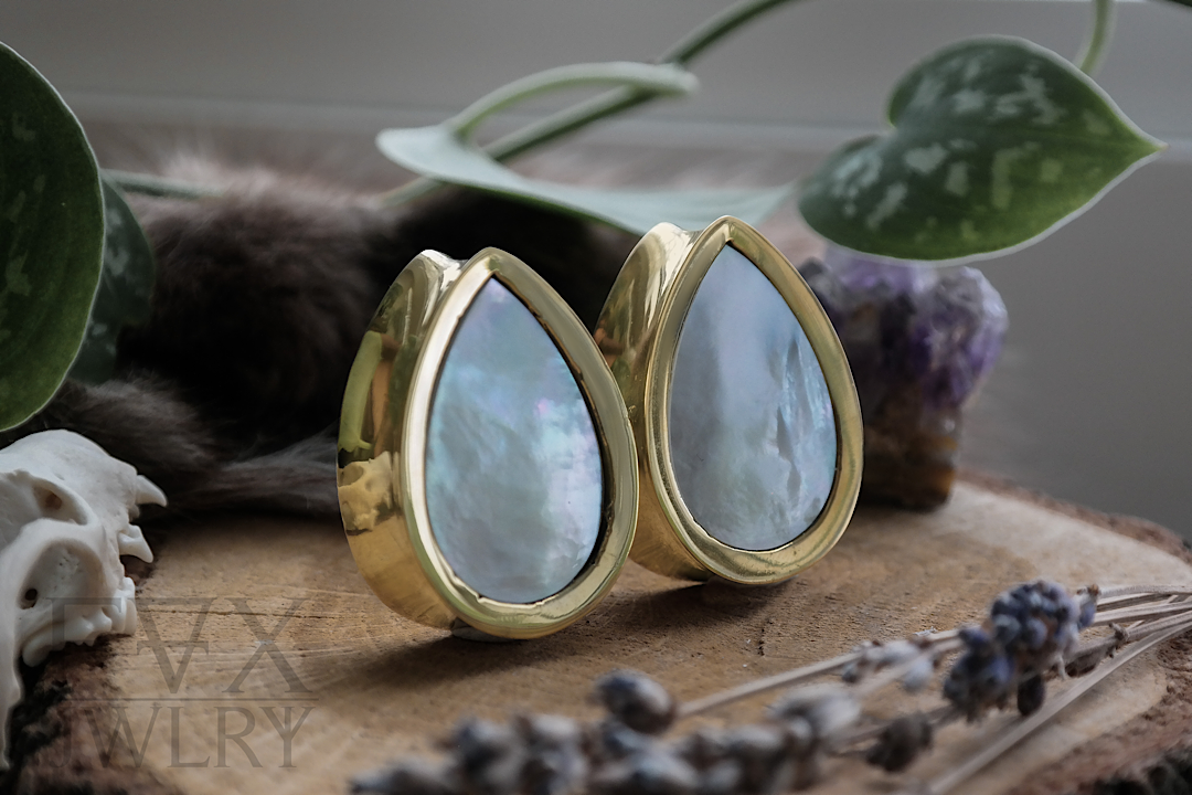 Golden Shell Teardrop Plugs