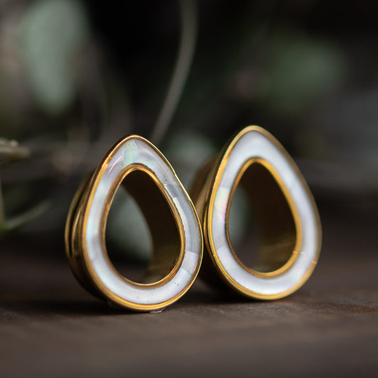 Golden Shell Tunnels