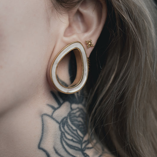 Golden Shell Tunnels