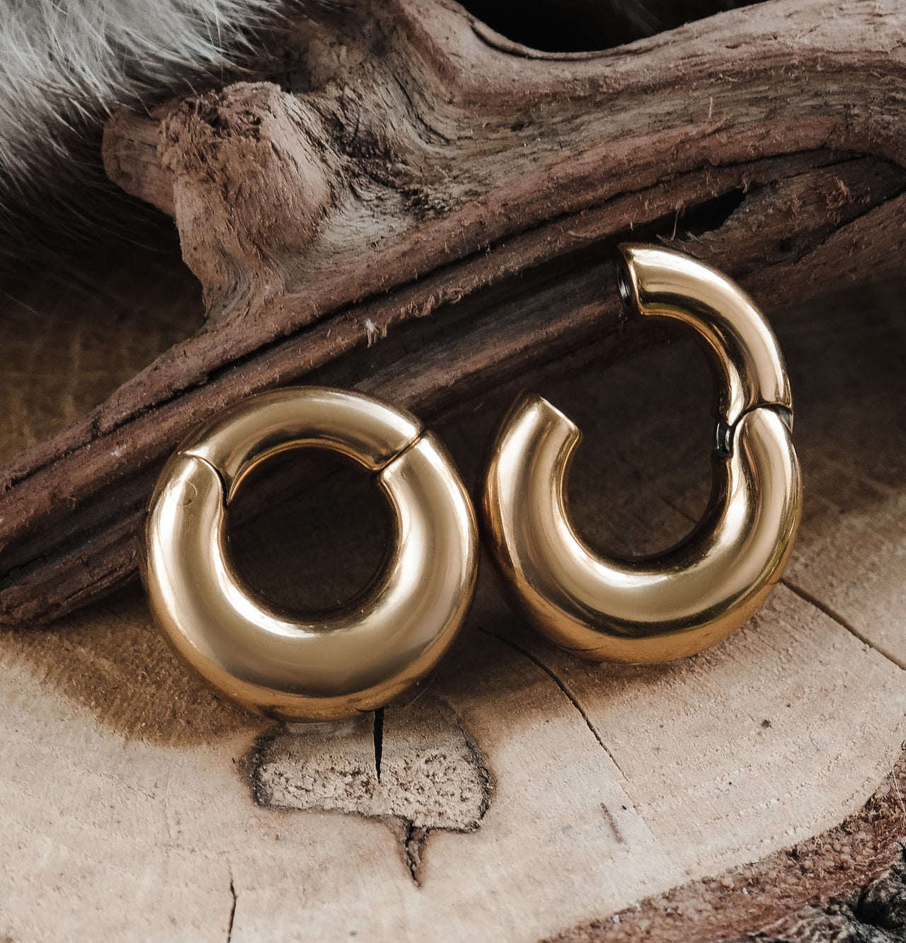 Golden Minimalistic Ring Ear Weights