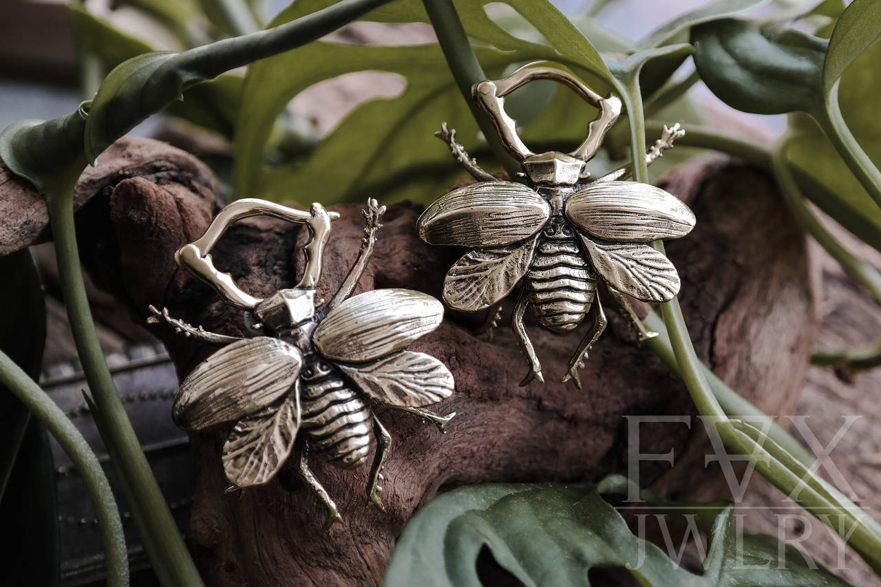 Brass Beetle Ear Hangers